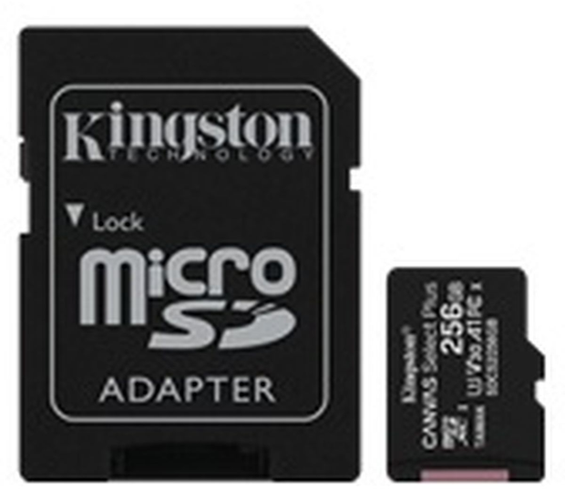 Kingston MicroSDXC 256GB A1 Video Class V30 UHS-I